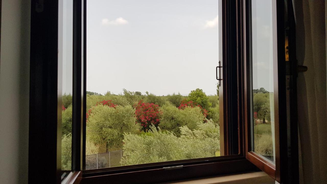 Lanuvio Il Casale Degli Ulivi - Agriturismo - Tenimenti Leone מראה חיצוני תמונה
