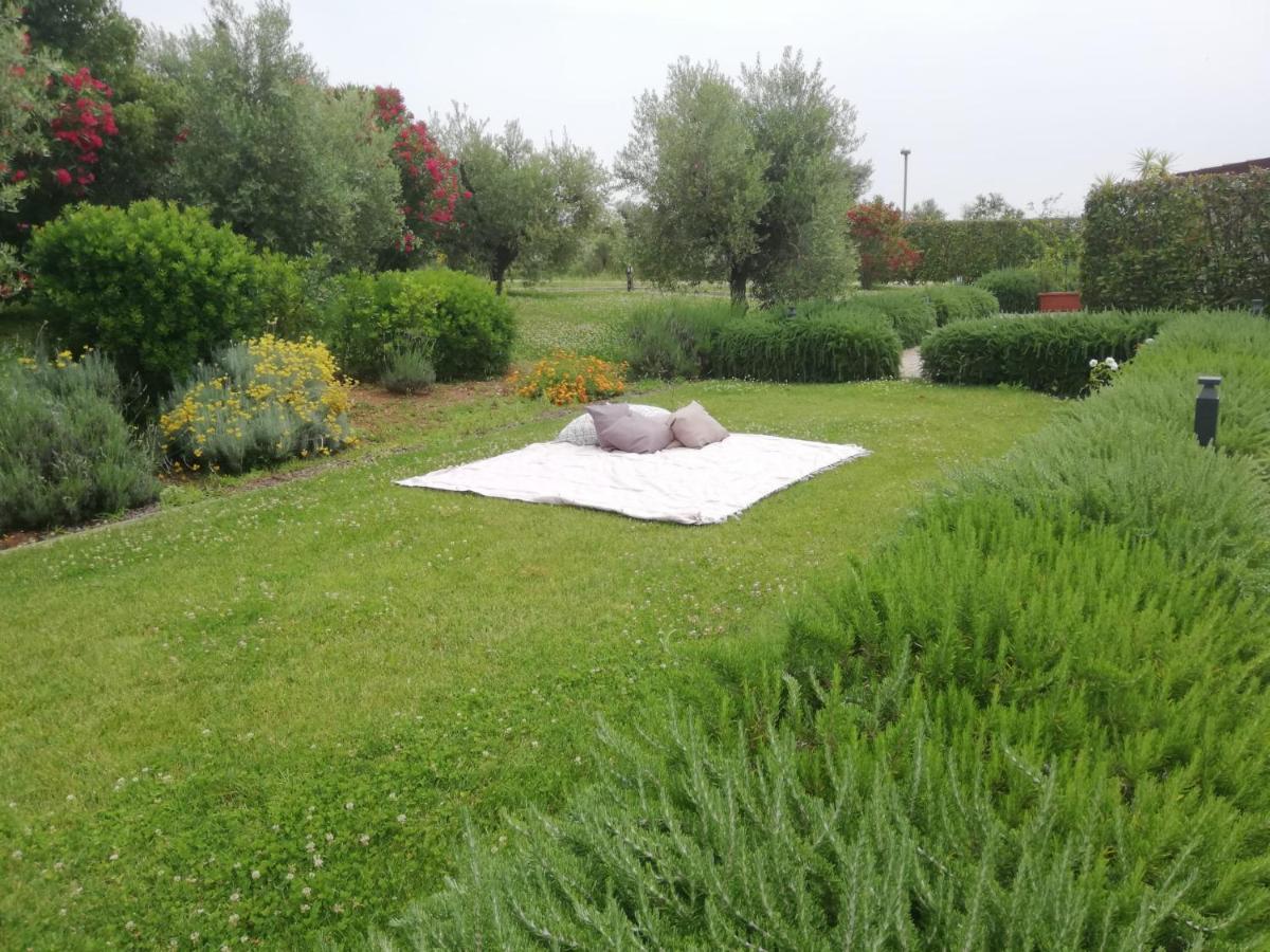 Lanuvio Il Casale Degli Ulivi - Agriturismo - Tenimenti Leone מראה חיצוני תמונה