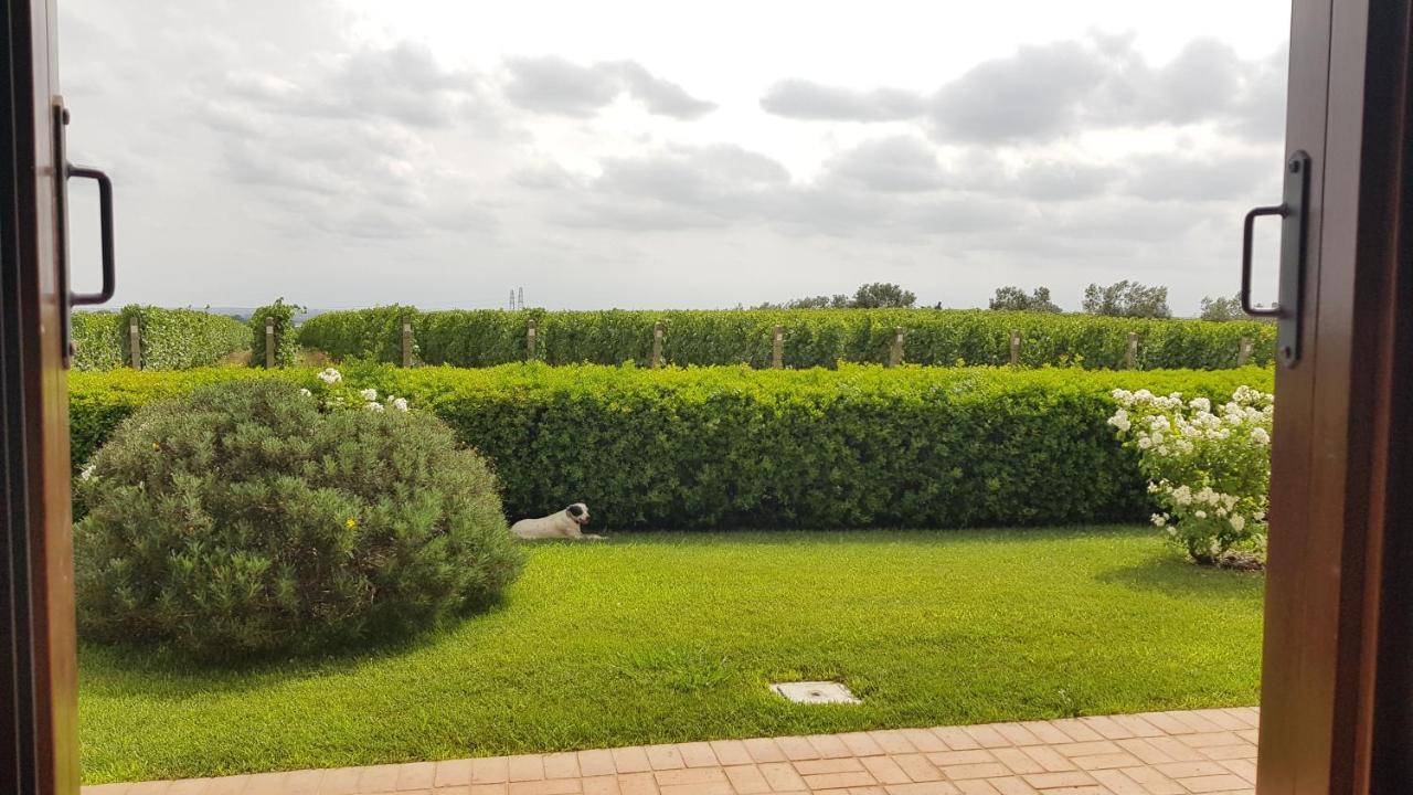 Lanuvio Il Casale Degli Ulivi - Agriturismo - Tenimenti Leone מראה חיצוני תמונה
