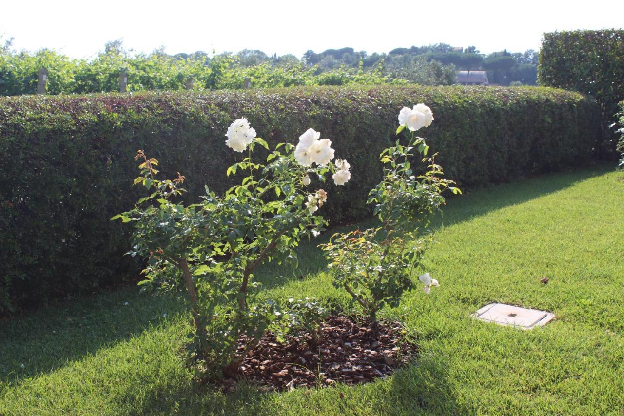 Lanuvio Il Casale Degli Ulivi - Agriturismo - Tenimenti Leone מראה חיצוני תמונה