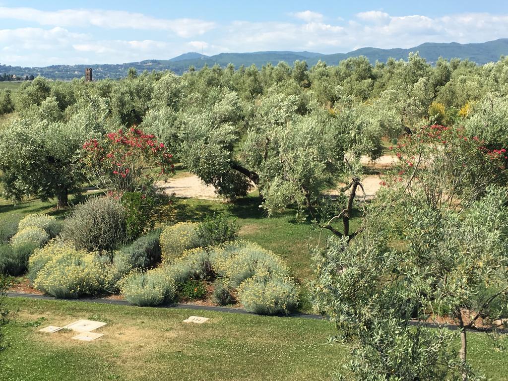 Lanuvio Il Casale Degli Ulivi - Agriturismo - Tenimenti Leone מראה חיצוני תמונה