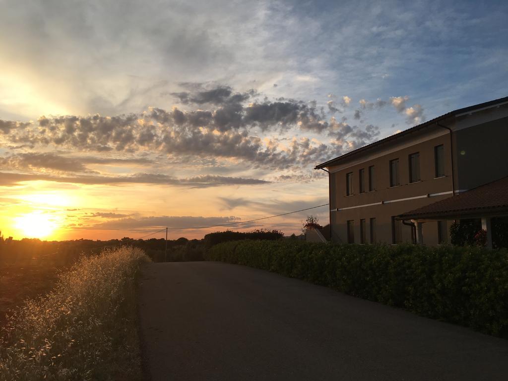 Lanuvio Il Casale Degli Ulivi - Agriturismo - Tenimenti Leone מראה חיצוני תמונה