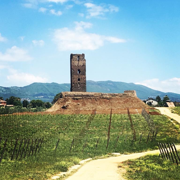 Lanuvio Il Casale Degli Ulivi - Agriturismo - Tenimenti Leone מראה חיצוני תמונה