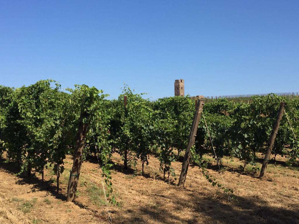 Lanuvio Il Casale Degli Ulivi - Agriturismo - Tenimenti Leone מראה חיצוני תמונה