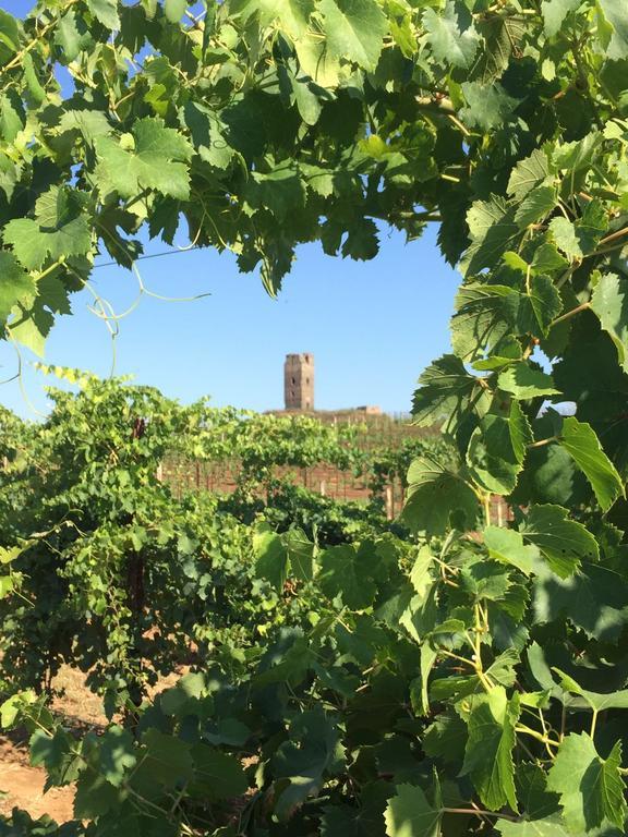 Lanuvio Il Casale Degli Ulivi - Agriturismo - Tenimenti Leone מראה חיצוני תמונה