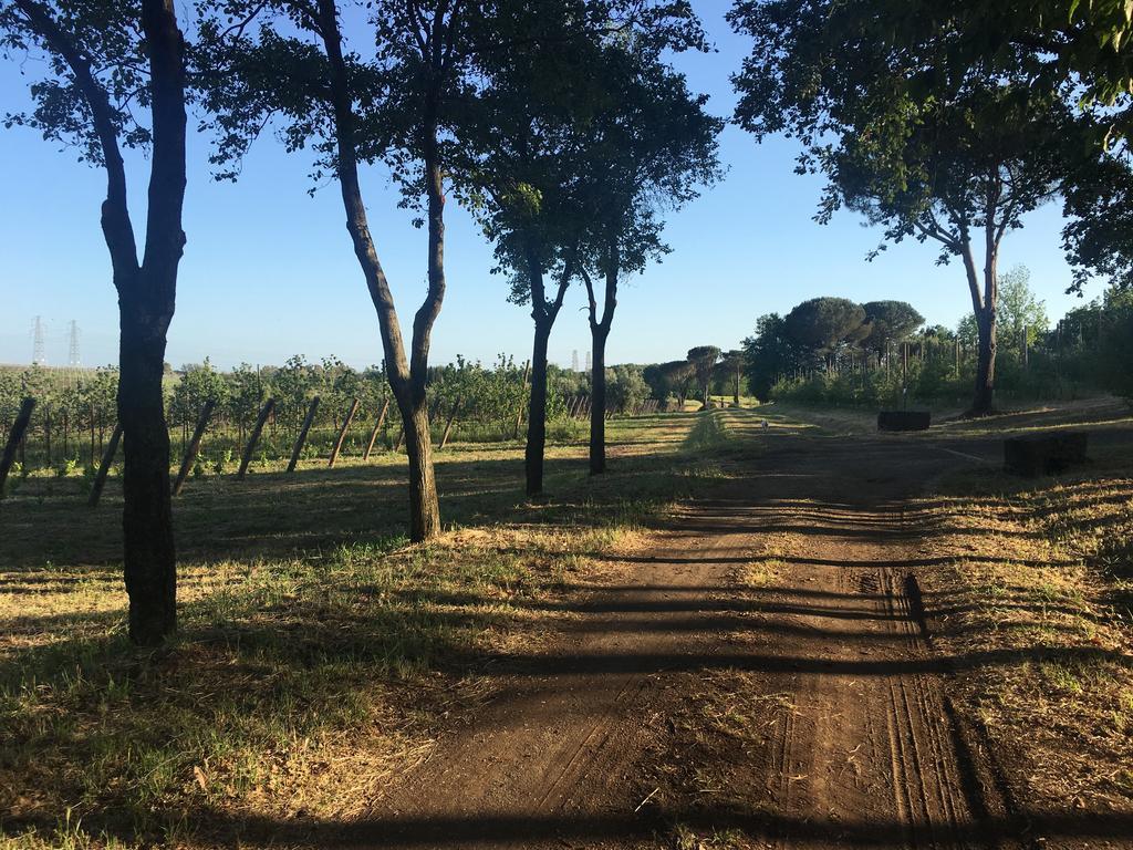 Lanuvio Il Casale Degli Ulivi - Agriturismo - Tenimenti Leone מראה חיצוני תמונה