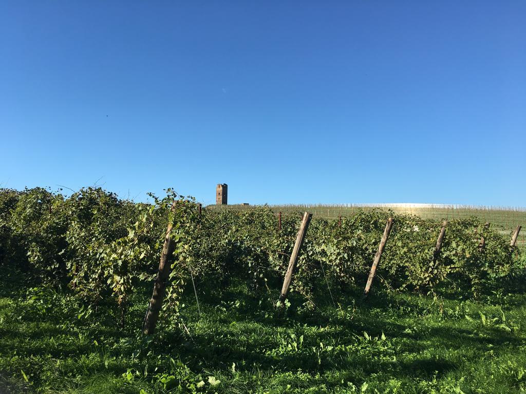 Lanuvio Il Casale Degli Ulivi - Agriturismo - Tenimenti Leone מראה חיצוני תמונה