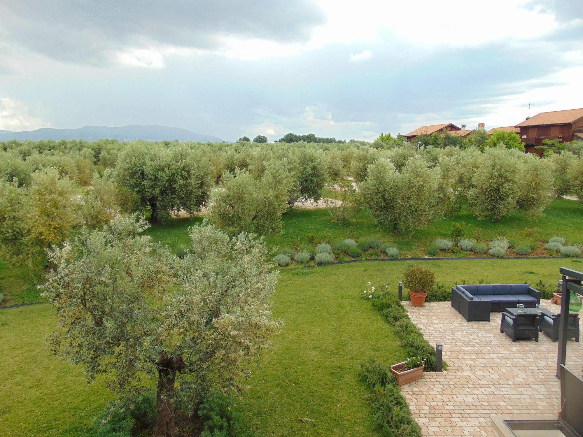 Lanuvio Il Casale Degli Ulivi - Agriturismo - Tenimenti Leone מראה חיצוני תמונה