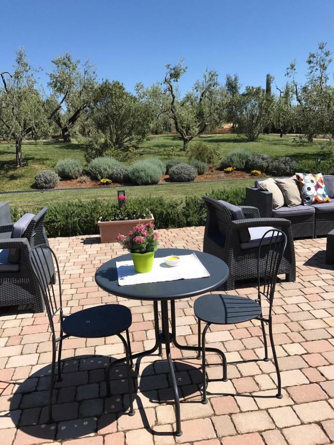 Lanuvio Il Casale Degli Ulivi - Agriturismo - Tenimenti Leone מראה חיצוני תמונה