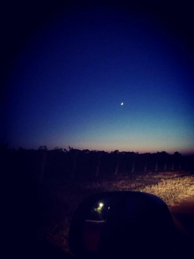 Lanuvio Il Casale Degli Ulivi - Agriturismo - Tenimenti Leone מראה חיצוני תמונה
