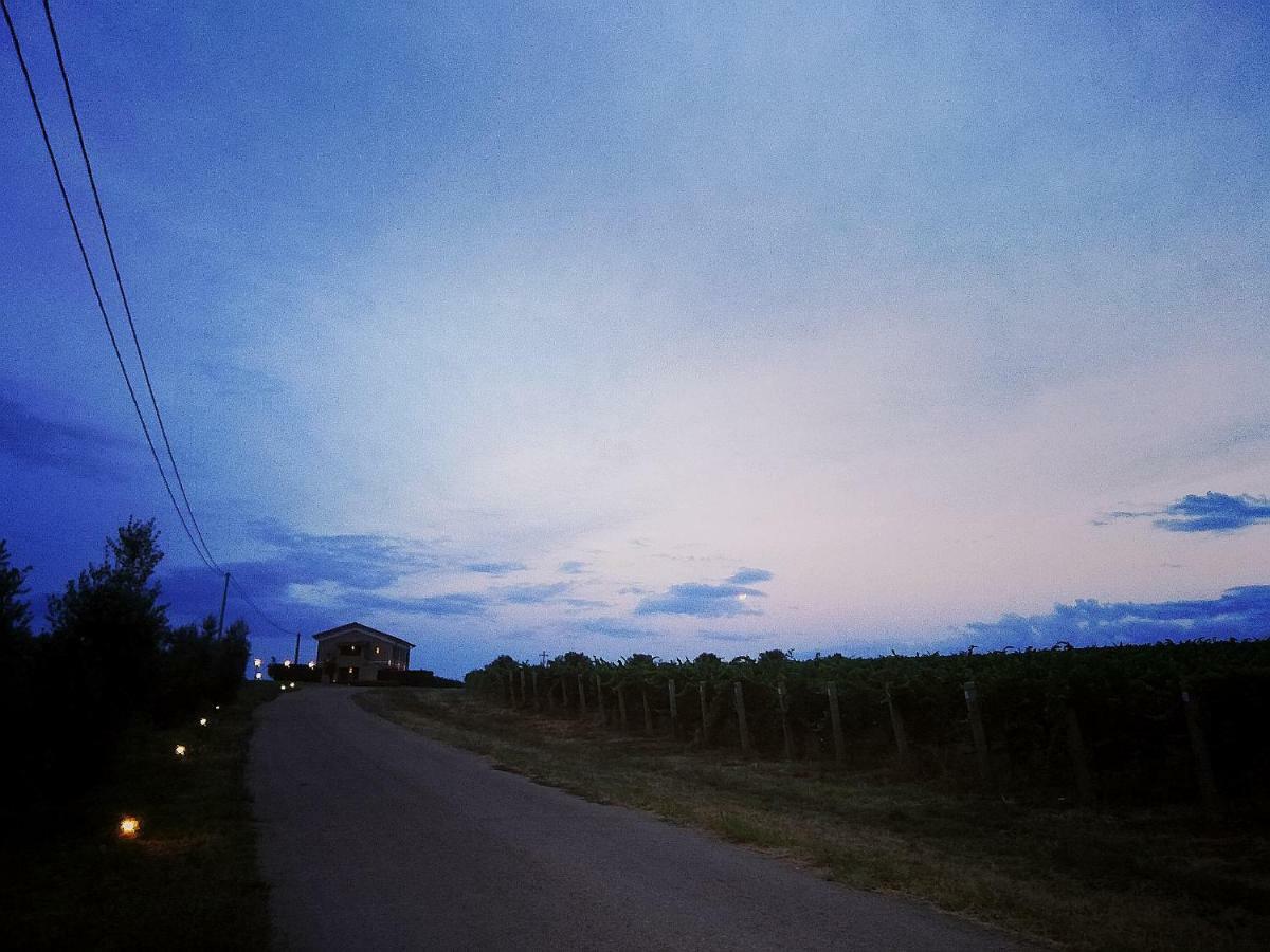 Lanuvio Il Casale Degli Ulivi - Agriturismo - Tenimenti Leone מראה חיצוני תמונה